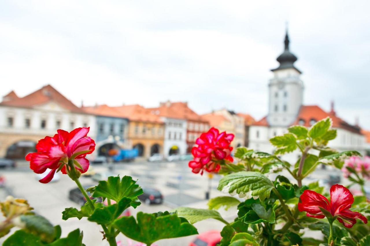 Hotel U Hada Zatec Eksteriør bilde